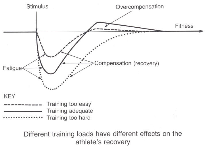 Training Adaptation Graph